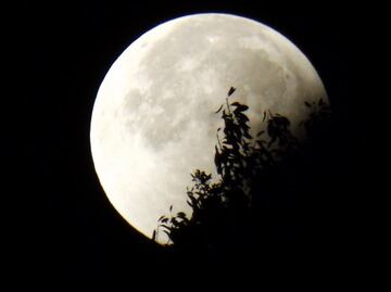 En otoño, disfruta del eclipse de Luna y una lluvia de estrellas