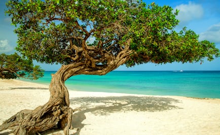 3 playas más cercanas a CDMX para escapar en Semana Santa 2025