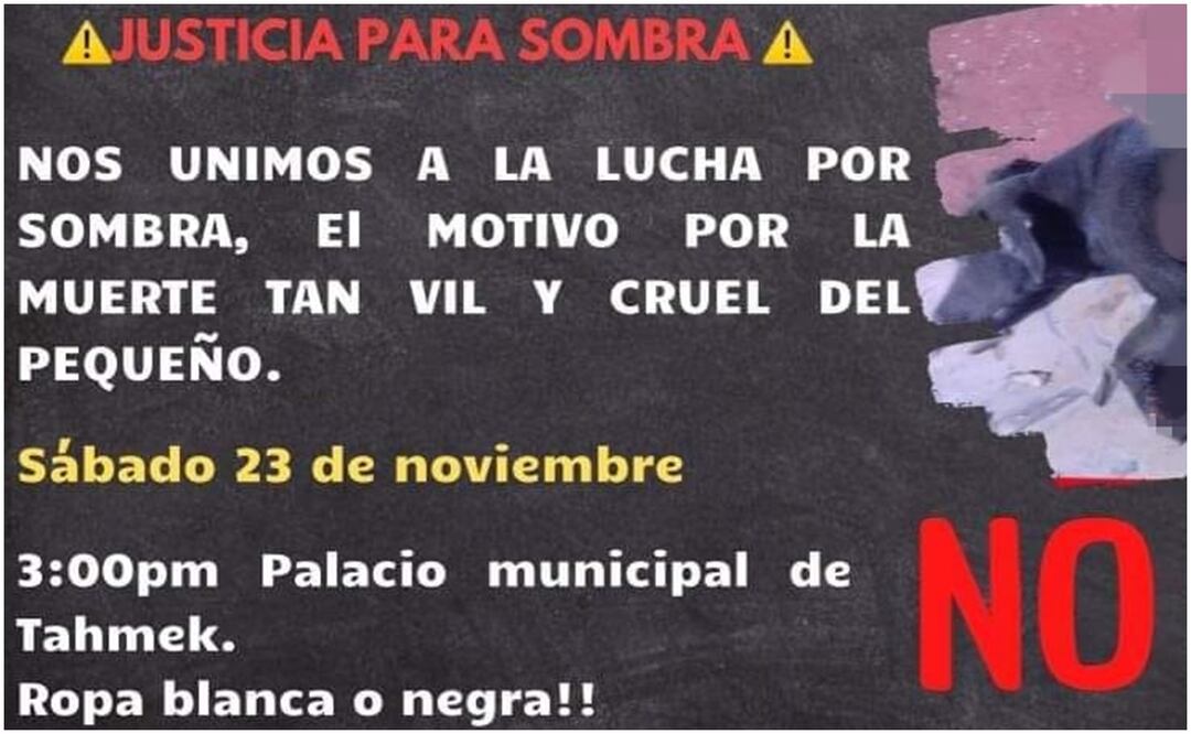 Denuncian a elementos de la Policía de Tahmek, Yucatán por ataque a un perrito (19/11/2024). Foto: Especial