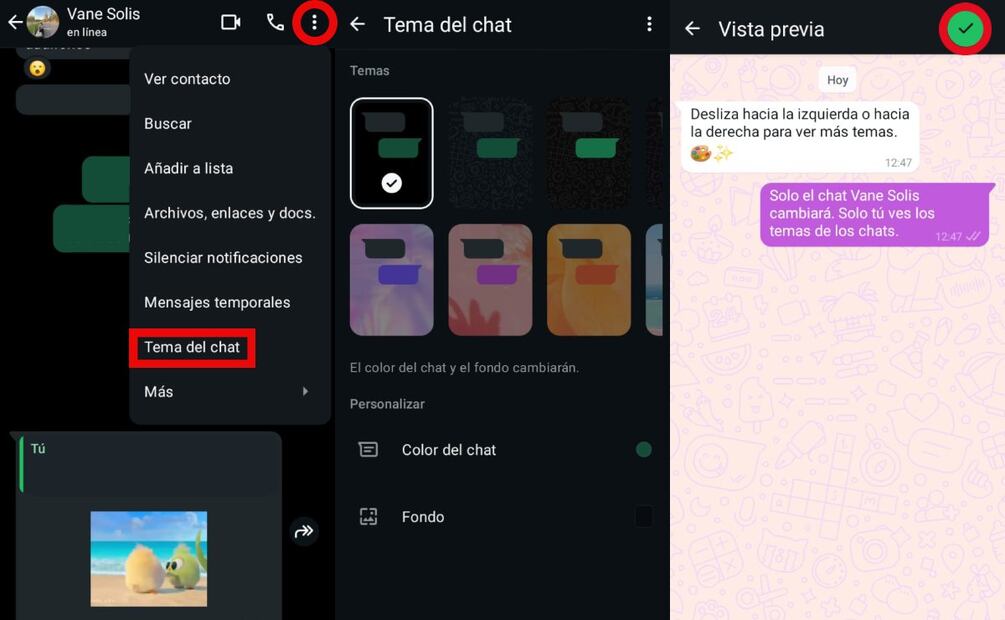Personalizar WhatsApp. Imagen: captura de pantalla
