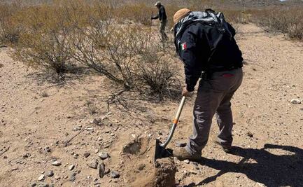 Concluyen inspecciones forenses en “El Willy” ubicado en Chihuahua; se localizaron 81 cuerpos en fosas clandestinas