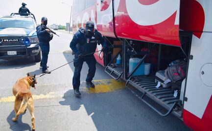 Policías de Tamaulipas apoyan al INM para contener el flujo de migrantes