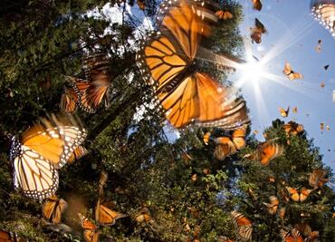 5 lugares imperdibles para visitar en el Estado de México