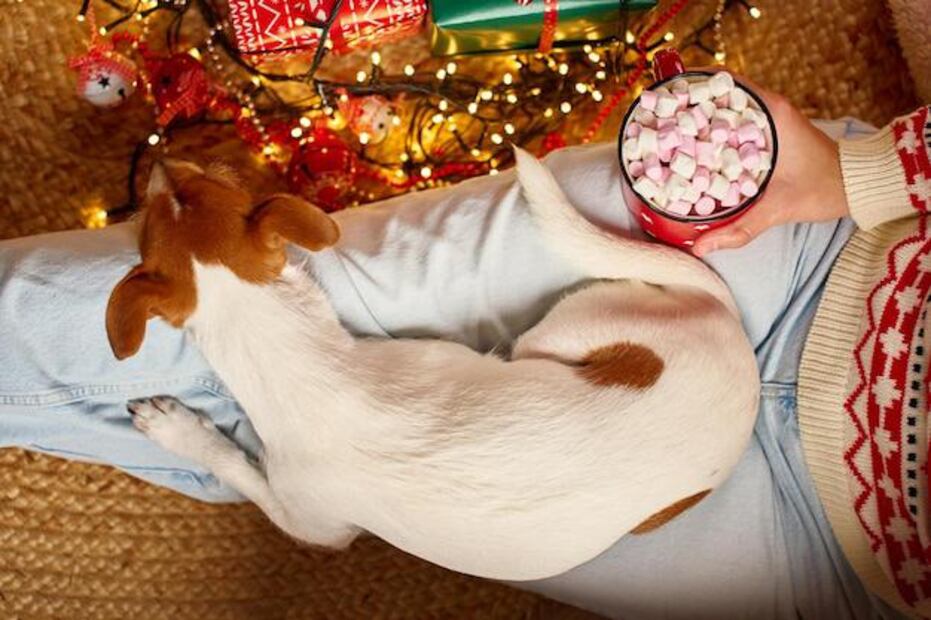 Adornos navideños y mascotas. Fuente: Freepik.