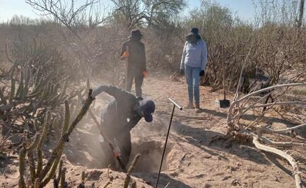 Buscadores en BCS piden acelerar entrega de restos identificados; denuncian retrasos de hasta 6 meses