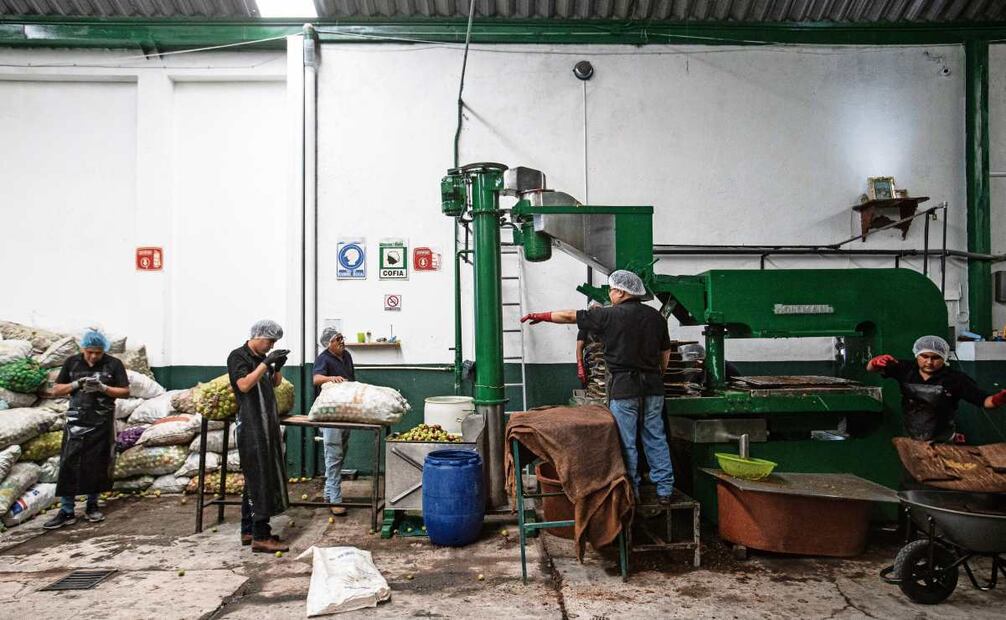 Un cura bendice la manzana que se cosechó durante el año, echa agua bendita sobre la máquina que lava y pica la manzana, y la prensa hidráulica que se encarga de sacar el jugo. Foto: Gabriel Pano / EL UNIVERSAL