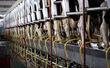 Llegará a 3 mil millones de dólares superávit agroalimentario: Sagarpa