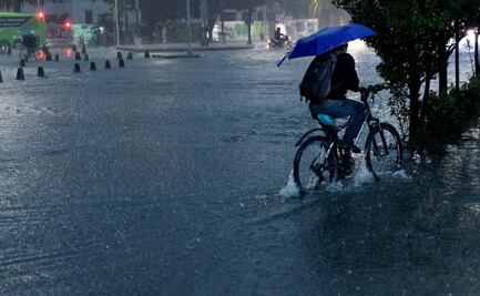 Lluvias del miércoles en CDMX dejan 51 encharcamientos; reportan caída de árboles y postes durante la madrugada