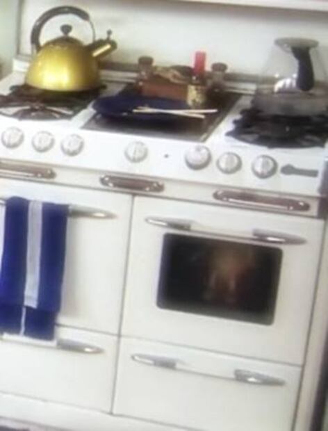 ¿Un bebé, un gato, qué cocinó Joey en esta escena de "Friends"?