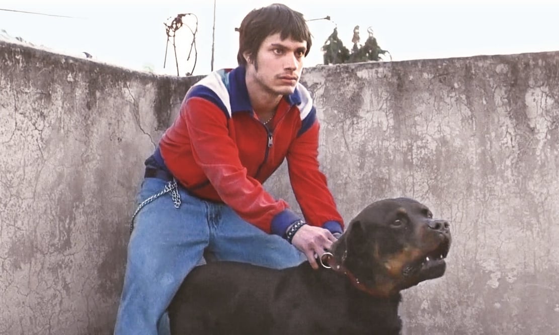 "Amores Perros". Foto: Archivo