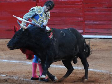 PAN admite que aún no fija su postura sobre prohibición de corridas de toros; pueblos originarios exigen consulta pública