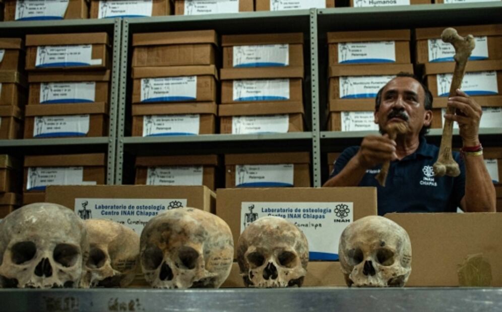 Hallan 150 cráneos de altar maya que fue confundido con una narcofosa: INAH