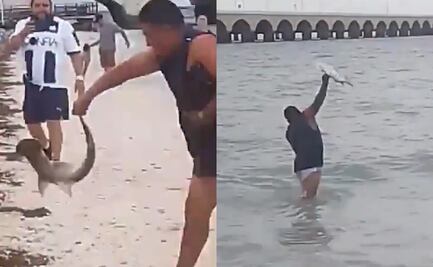 Exhiben a turista sacando del mar a cría de tiburón martillo en Yucatán; lo libera con violencia
