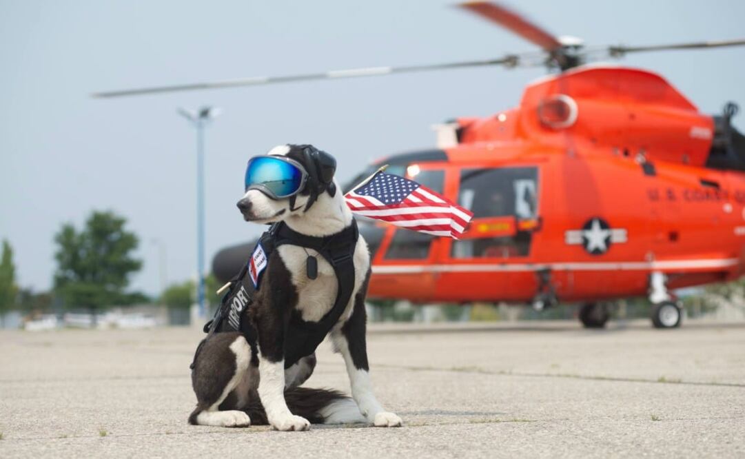 Piper se encarga de mantener la pista libre de vida salvaje y alertar de la presencia de cualquier intruso. (Foto: Facebook Cherry Capital Airport)