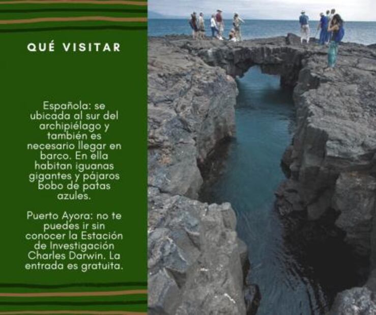 ¿Cuánto debes ahorrar para viajar a Galápagos?