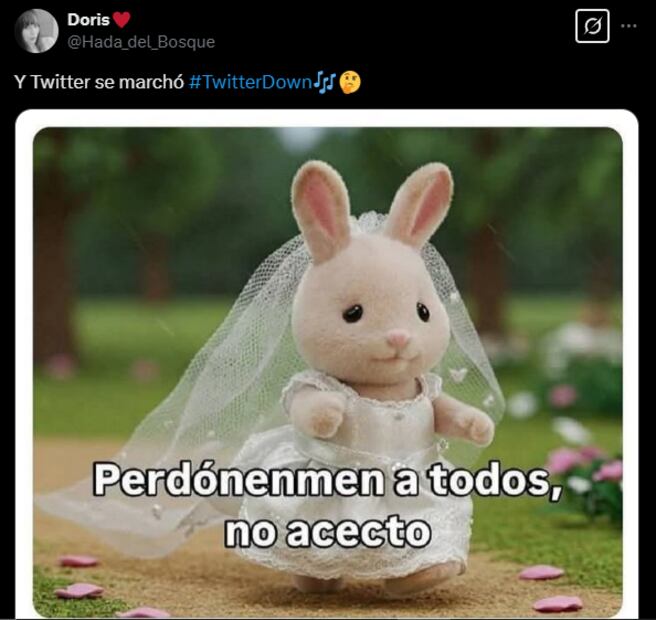 El sitio especializado en monitoreo de servicios digitales, Downdetector, registró múltiples reportes de fallas en menos de 24 horas. 
Foto: Captura de pantalla en X