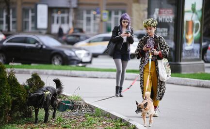 ¿Con quién se queda el perro? Analizan en España custodia de mascotas por divorcio