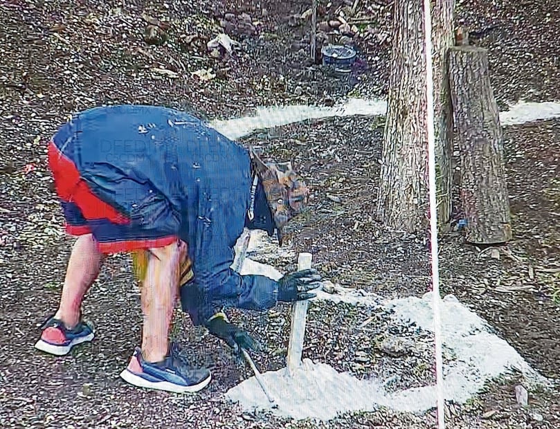 Joven ingresa a zona restringida del ahuehuete