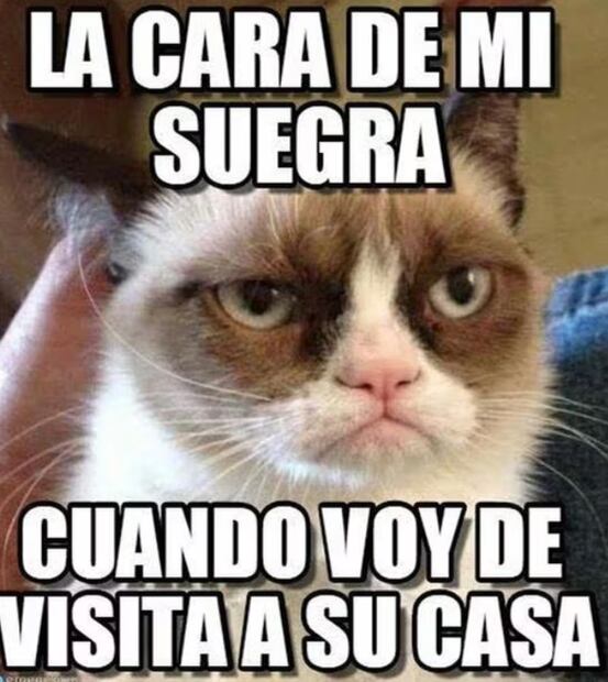 Vía Twitter.