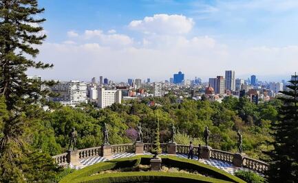 Aumenta polen en atmósfera de CDMX, ¿qué tipo te provoca alergia?