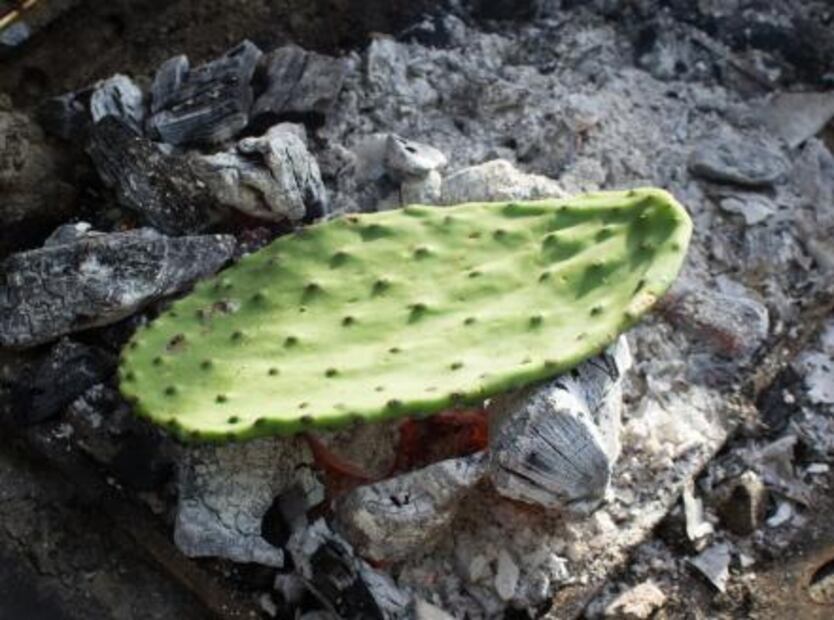 Cocina con nopal y agrega más beneficios a tus alimentos