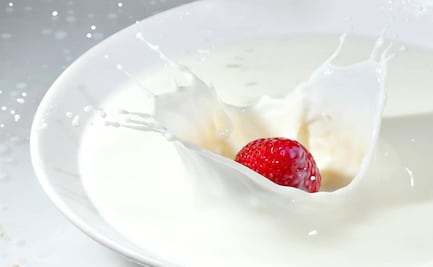 3 postres con leche para hacer en casa