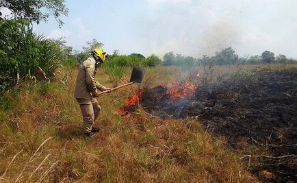 Fuerzas Armadas de Brasil empiezan trabajos contra incendios en Amazonia
