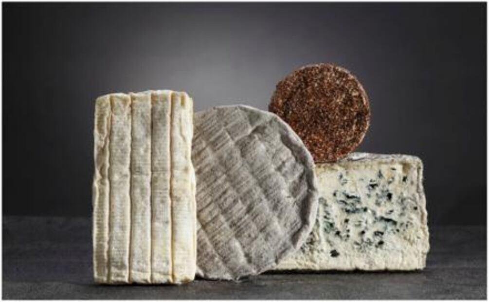 Descubre el delicioso mundo del queso