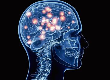 Un siglo de estudiar la conducta humana