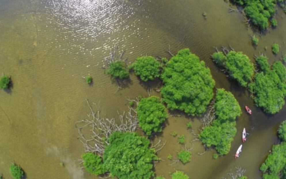 11 cosas que no sabías sobre la Reserva de la Biósfera de Sian Ka'an