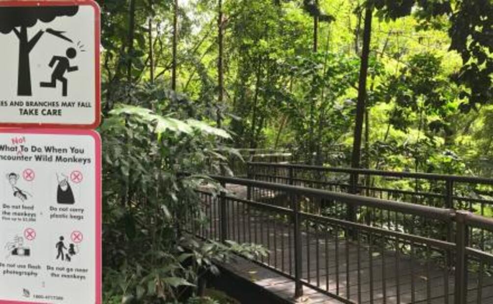 12 cosas que solo tiene Singapur