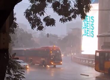 Lluvias intensas y vientos dejan caída de árbol y encharcamiento en la CDMX