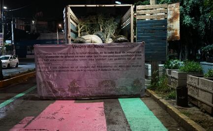 Constructora de Mítikah inicia reinstalación de árboles talados