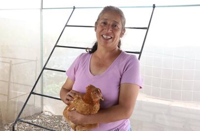 Familias de Puebla reciben módulos avícolas para contar con alimentación nutritiva y de calidad