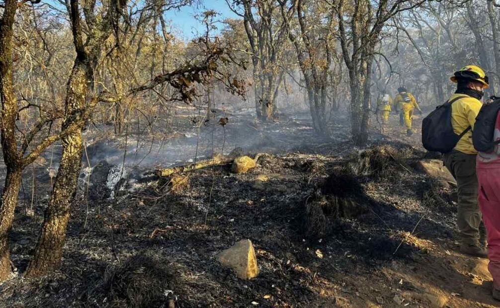 Incendio forestal afecta áreas naturales protegidas en Guanajuato (28/04/2025). Foto: Especial