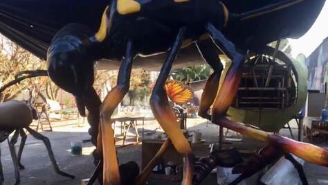 Festival de insectos en Chapultepec, gratis para toda la familia