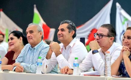 Consejo político del PRI decidirá método de elección de candidatos: Ochoa