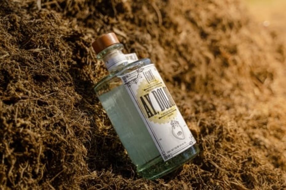 ¡Saquen los mezcales y el pasito duranguense! Conoce Ay, Dolor