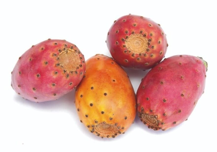 Conoce los tipos de tunas y sus beneficios