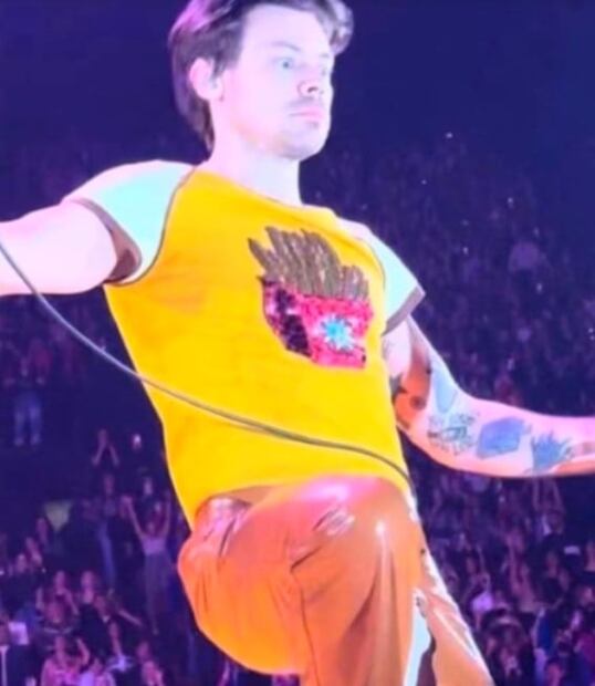 Por "amor" a sus fans, Harry Styles bebe agua de su zapato en pleno escenario 