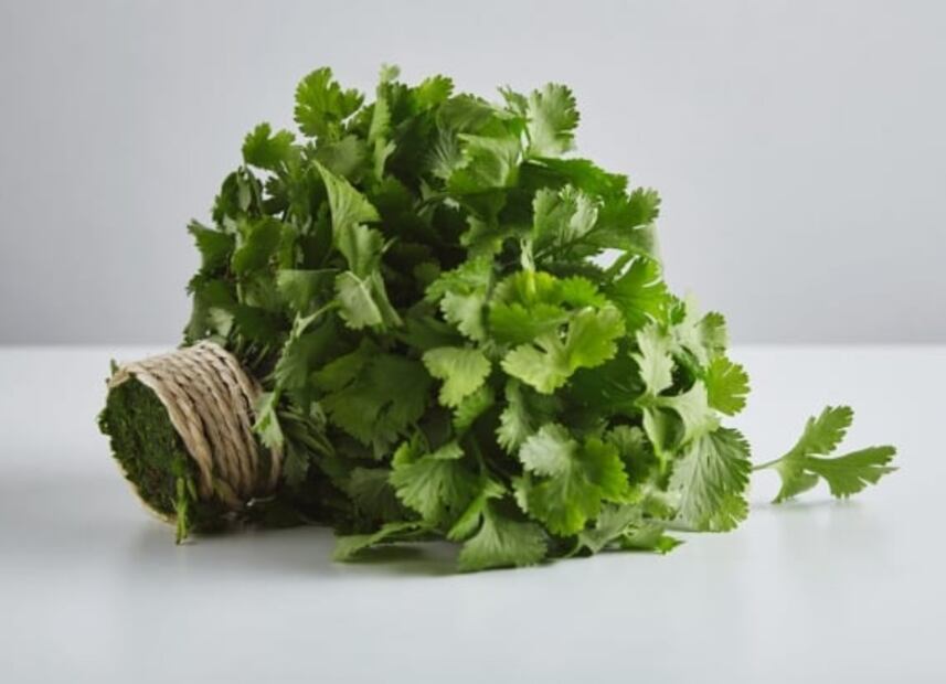 Conoce qué hierbas y hortalizas puedes cultivar en casa 