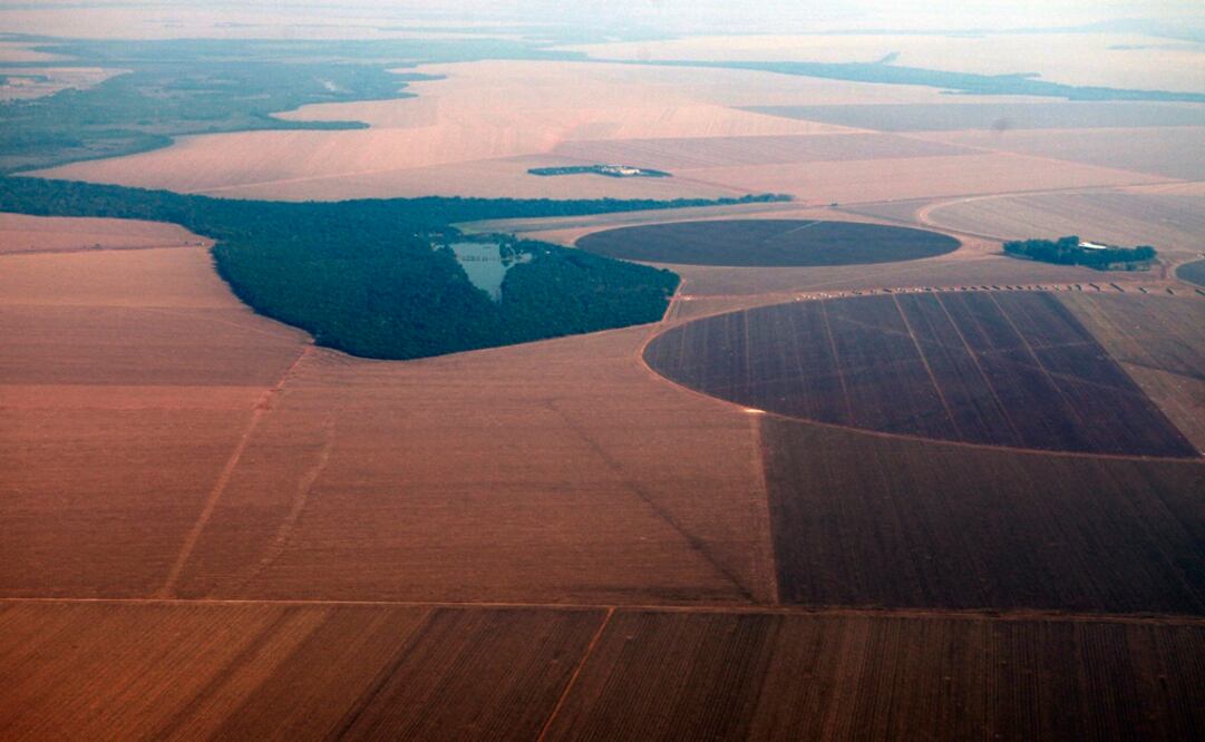 An aerial view of a soy plantation in Mato Grosso - Photo: Paulo Whitaker/Reuters
