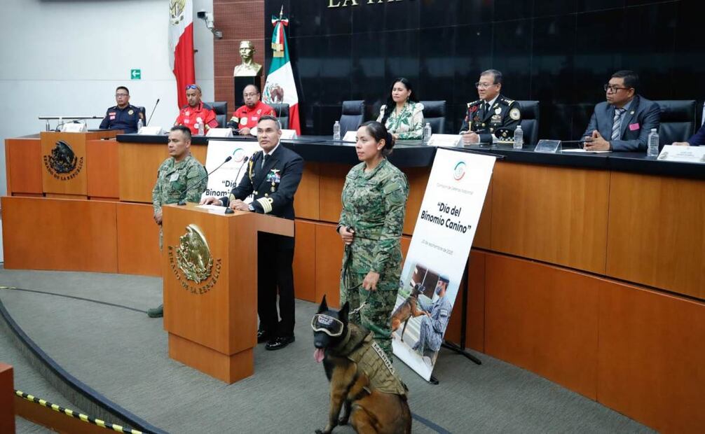 Realizan acto por el Día Nacional del Binomio Canino en el Senado de la República. Foto: Especial