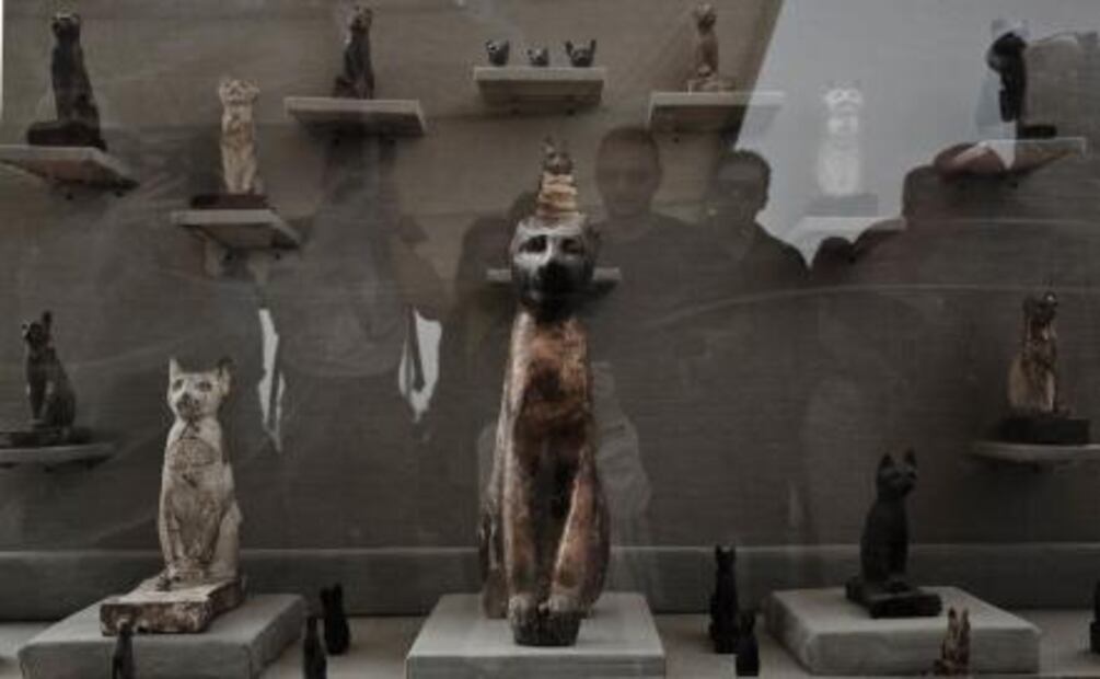 Hallan decenas de momias de gatos en El Cairo 