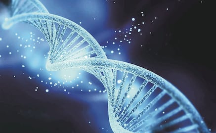 Decodifican genoma de la bacteria que originó la sífilis