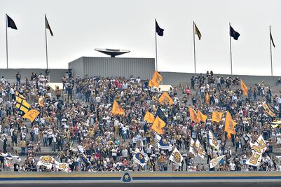 Que se vayan de Pumas