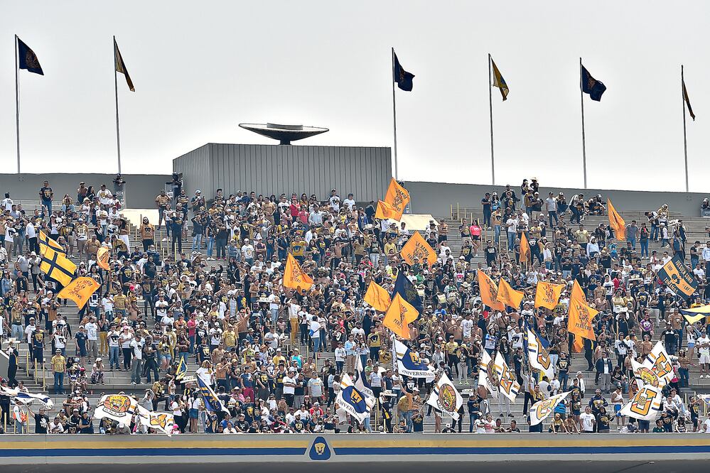 Que se vayan de Pumas