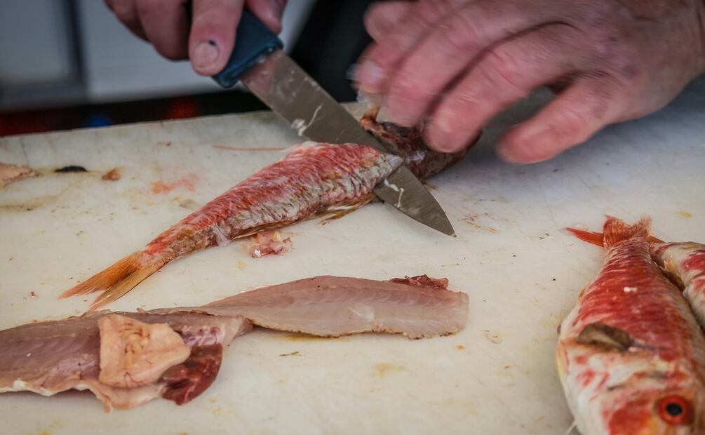 ¿Cómo limpiar el pescado? Foto: Unsplash