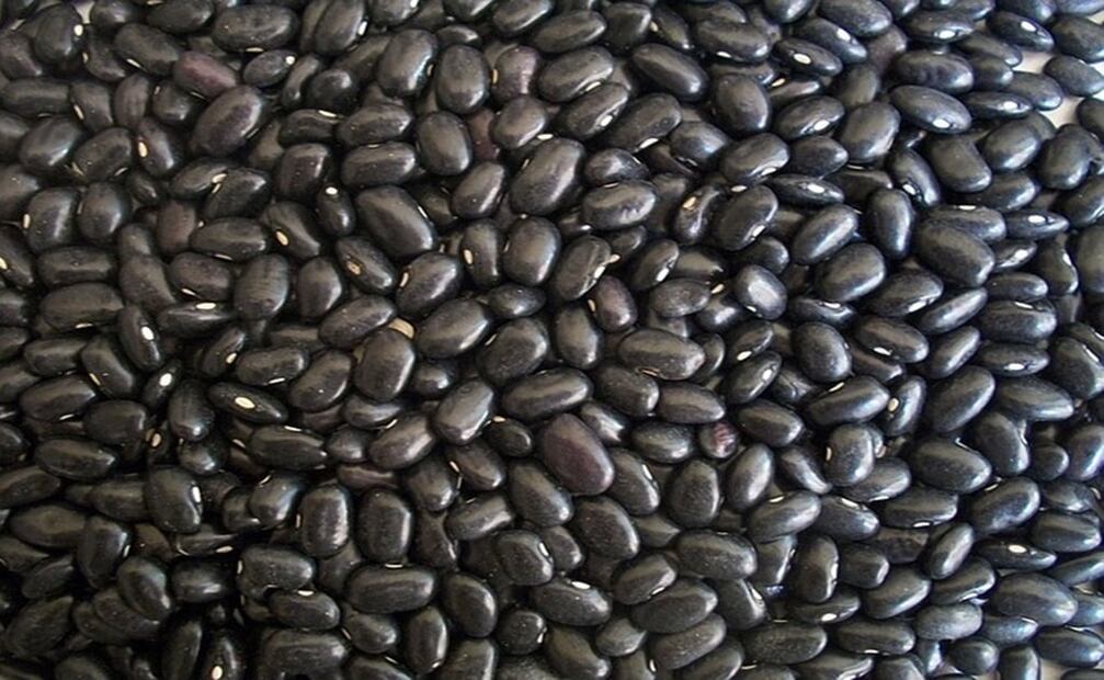 Los frijoles negros son versátiles en la cocina mexicana. Foto: Pixabay