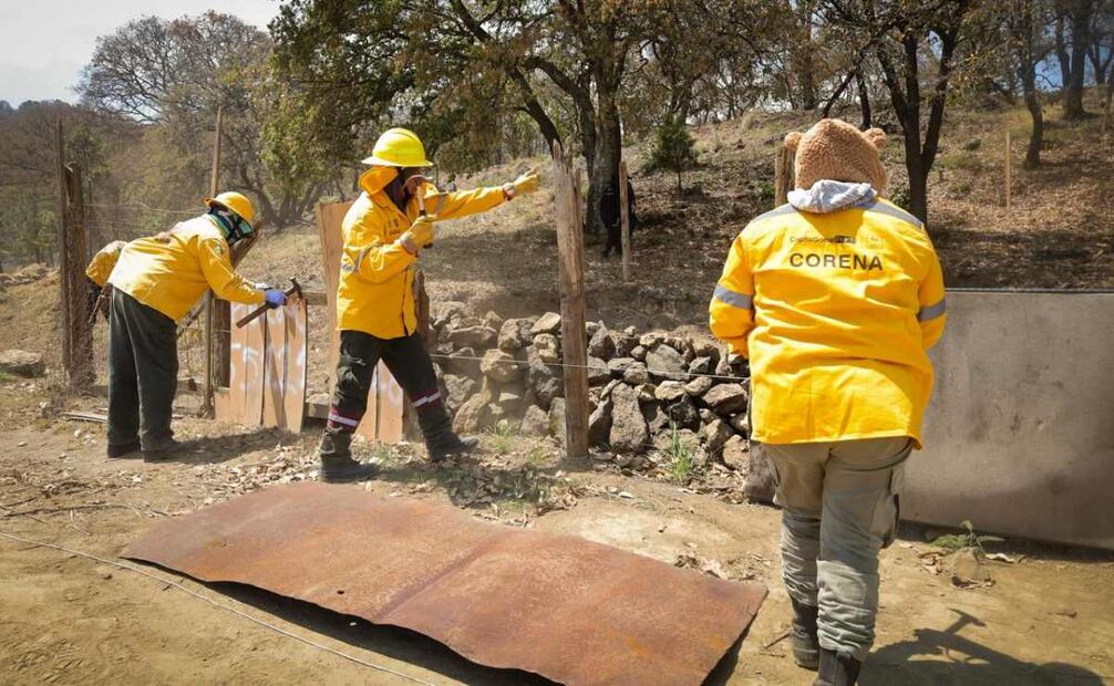 Retiran estructuras ubicadas en suelo de conservación (13/03/2025). Foto: Especial